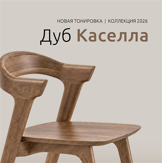 Обновление палитры: тонировка «Дуб Каселла»